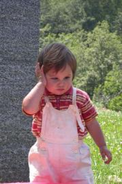 20081218_php149.jpg