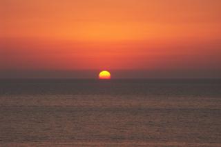 20081218_php41a6.jpg