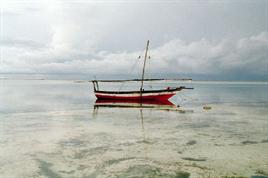 20081218_phpda5.jpg