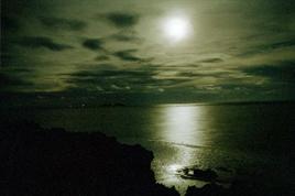 20081218_phpda8.jpg