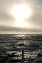 2009328_dsc_2678.jpg