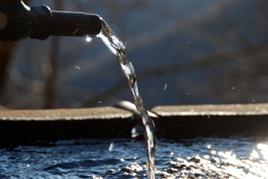 2009328_dsc_3641.jpg